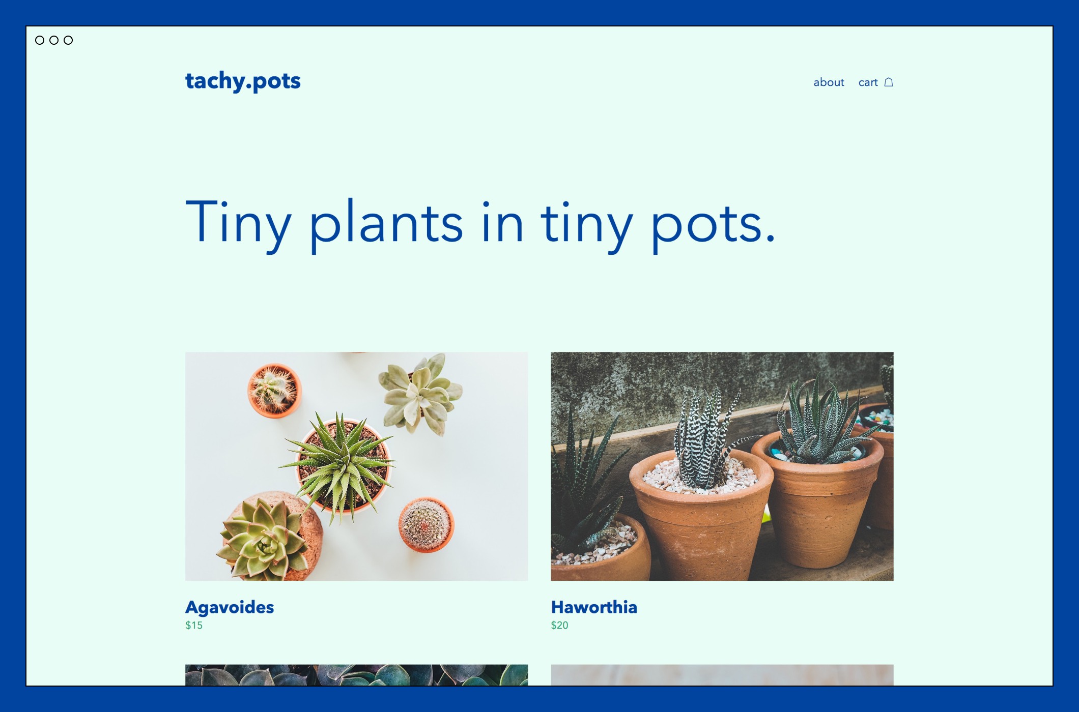 Tachy Tool template for simple plant store