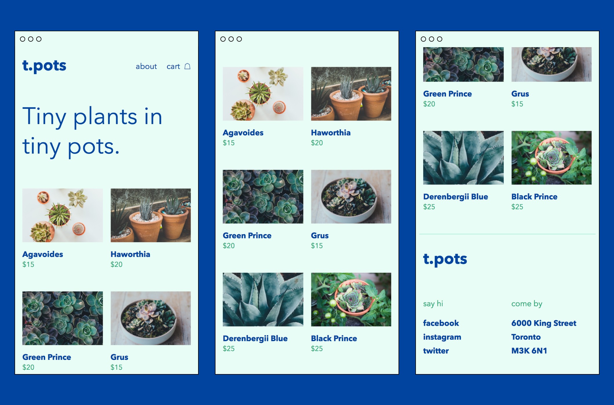 Tachy Tool template for simple plant store on mobile